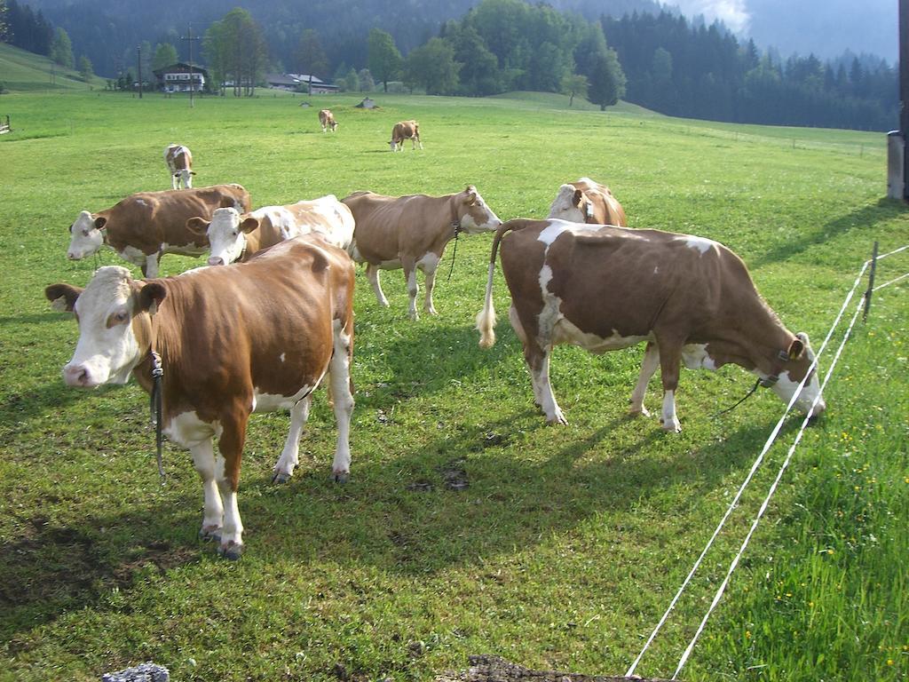 Vorderstockerhof Villa St. Johann in Tirol Kültér fotó